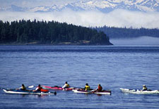Canada-British Columbia-Johnstone Straight Sea Kayaking